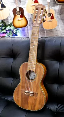 Denver - Guitar Ukulele 2